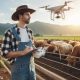 Agri-Drones: Livestock Monitoring Tech