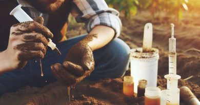 Soil Testing 101: Key Steps & Benefits