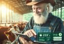 Smart Barns Integrating Tech in Livestock Care