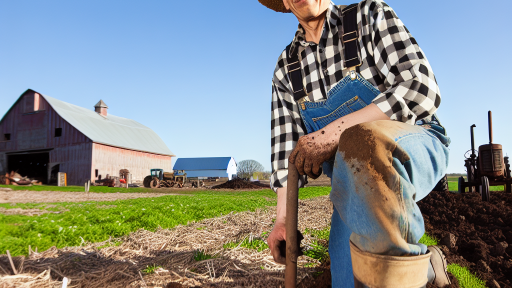 Benefits of Carbon Sequestration in Agriculture