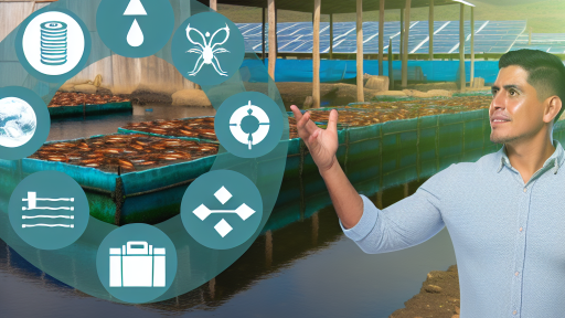 Climate Resilience Strategies for Aquaculture Businesses