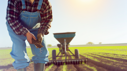 Types of Cover Crops and Their Uses