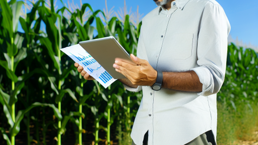 Optimizing Crop Management Using Data