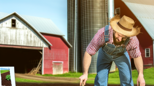 Soil Regeneration Techniques For Modern Farms