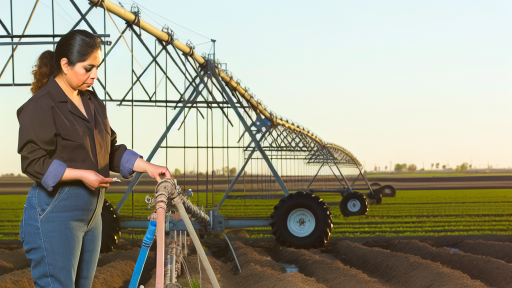 Water Management Techniques For Healthy Soil