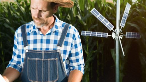 Renewable Energy Programs Every Farmer Should Know