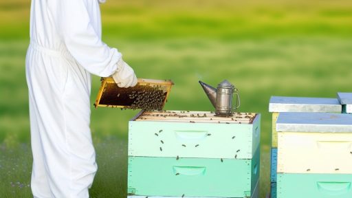 Beekeeping Advice for Managing Seasonal Hive Inspections