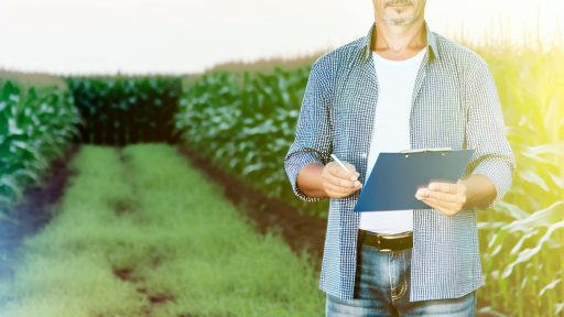 Benefits of Comprehensive Crop Insurance for Modern Farms