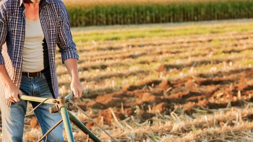 Conservation Tillage Tools Every Farmer Should Know