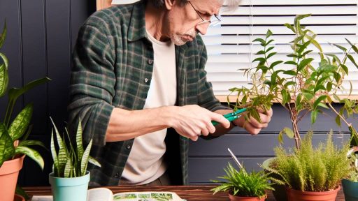 Indoor Gardening Mistakes for Beginners to Avoid When Starting Out