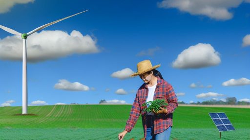 Renewable Energy Solutions Transforming Modern Agricultural Operations