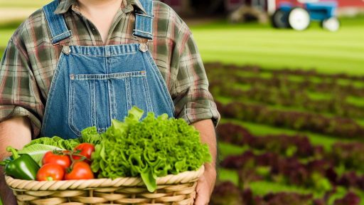 Understanding Organic Certification Requirements For Farm Delivery Produce