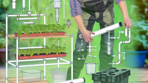 DIY Garden Projects for Hydroponic Farming