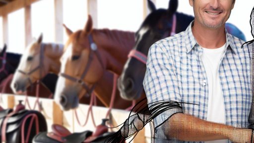 Equine Transportation Safety Measures for Reducing Travel Stress