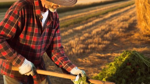 Harvesting Methods for Landowners Entering Agriculture