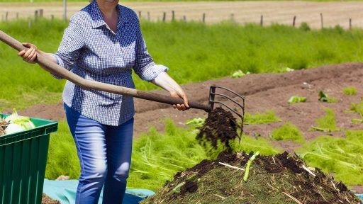 Organic Fertilizer and Composting Techniques for Sustainable Farming