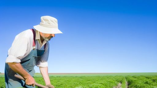 Organic Weed Management Strategies for Chemical-Free Farming