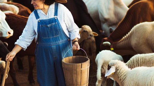 Permaculture Practices for Managing Livestock in a Sustainable Way