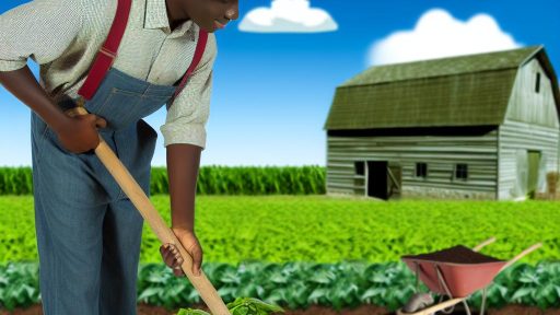 Understanding Permaculture Soil Building For Sustainable American Farms